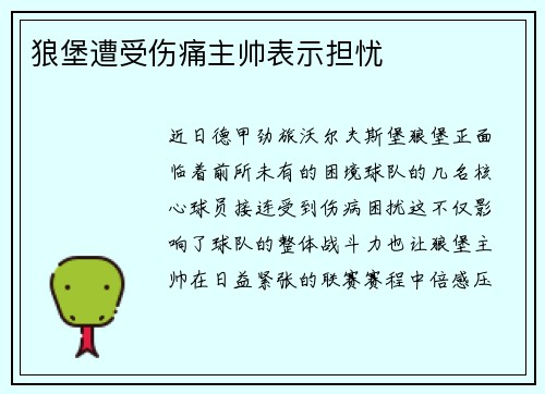 狼堡遭受伤痛主帅表示担忧
